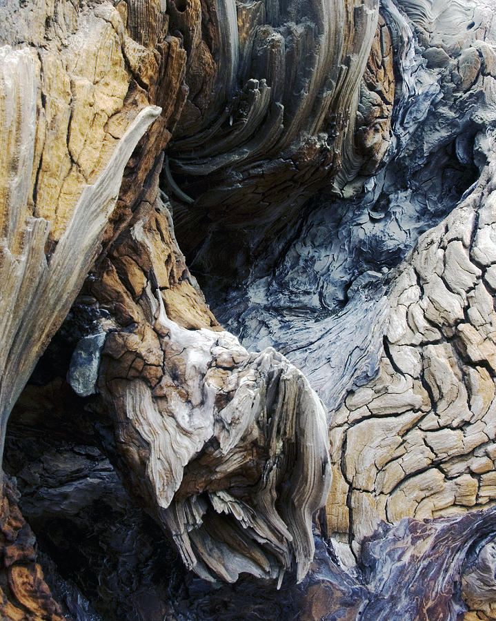 Nature Photograph - Driftwood Canyon VIII by D Kadah Tanaka