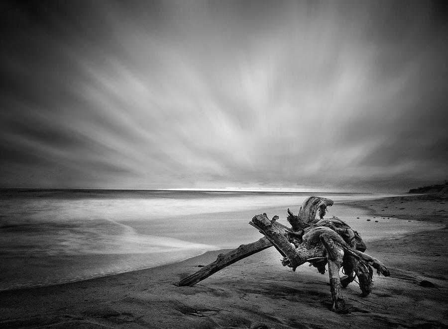 Driftwood Del Mar Beach Photograph by Lawrence Knutsson