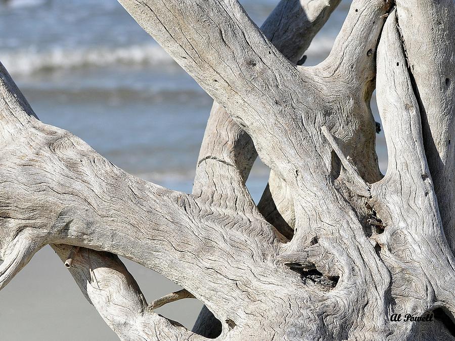 Driftwood Detail Photograph by Al Powell Photography USA