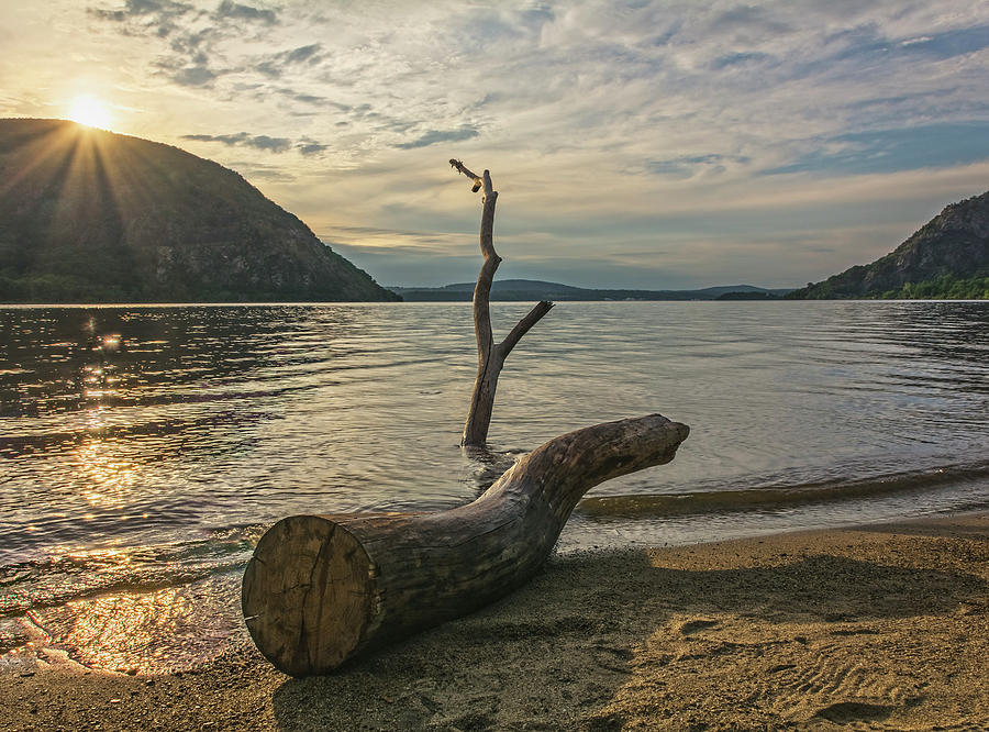 Driftwood Directional Photograph by Angelo Marcialis