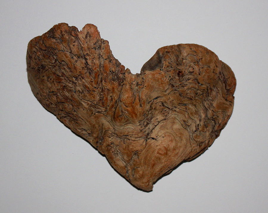 Driftwood Heart #2 Photograph by Larry Bacon