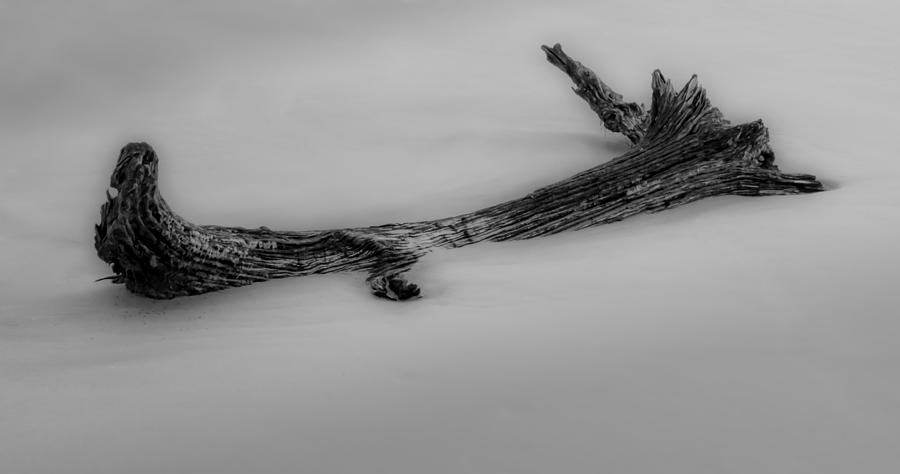 Beach Photograph - Driftwood In Sand in Black and White by Greg and Chrystal Mimbs