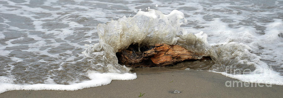 Driftwood in the Surf Photograph by Denise Bruchman