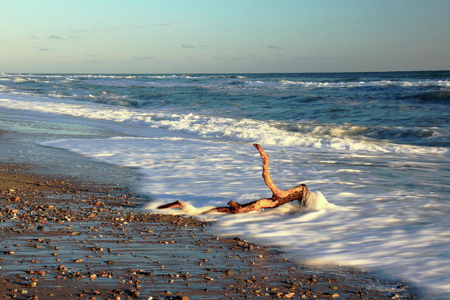 Driftwood In The Surf Photograph