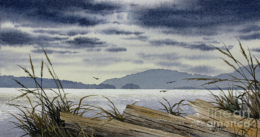 Driftwood Island Shore Painting by James Williamson