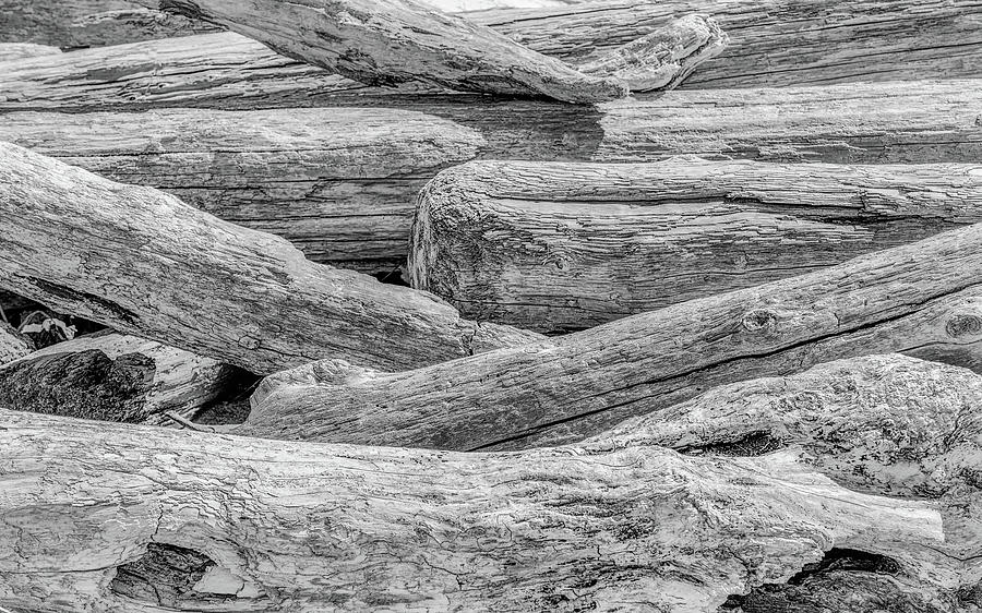 Driftwood Photograph by Joseph Smith