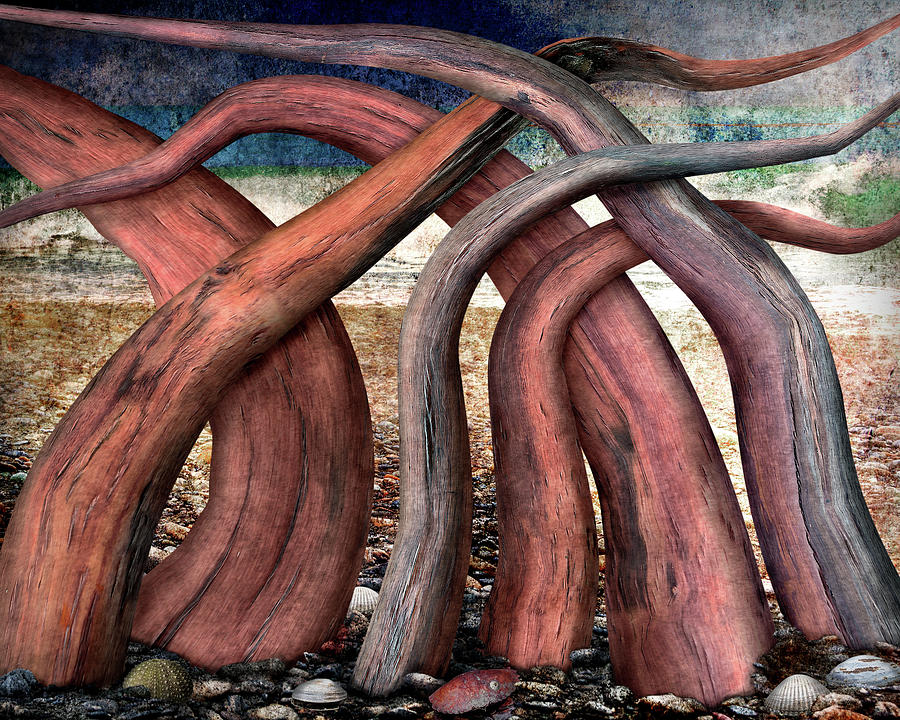 Driftwood Digital Art by Ken Taylor