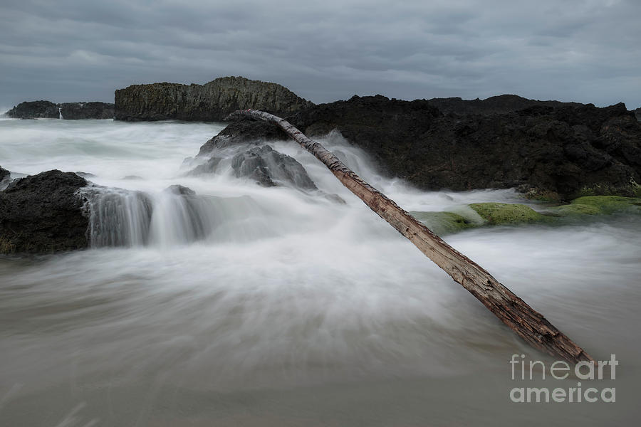 Driftwood leaning against the rock Photograph by Masako Metz