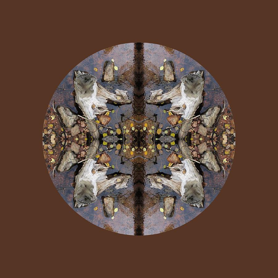 Driftwood Looking Up to the Heavens Kaleidoscope  Digital Art by Julia L Wright