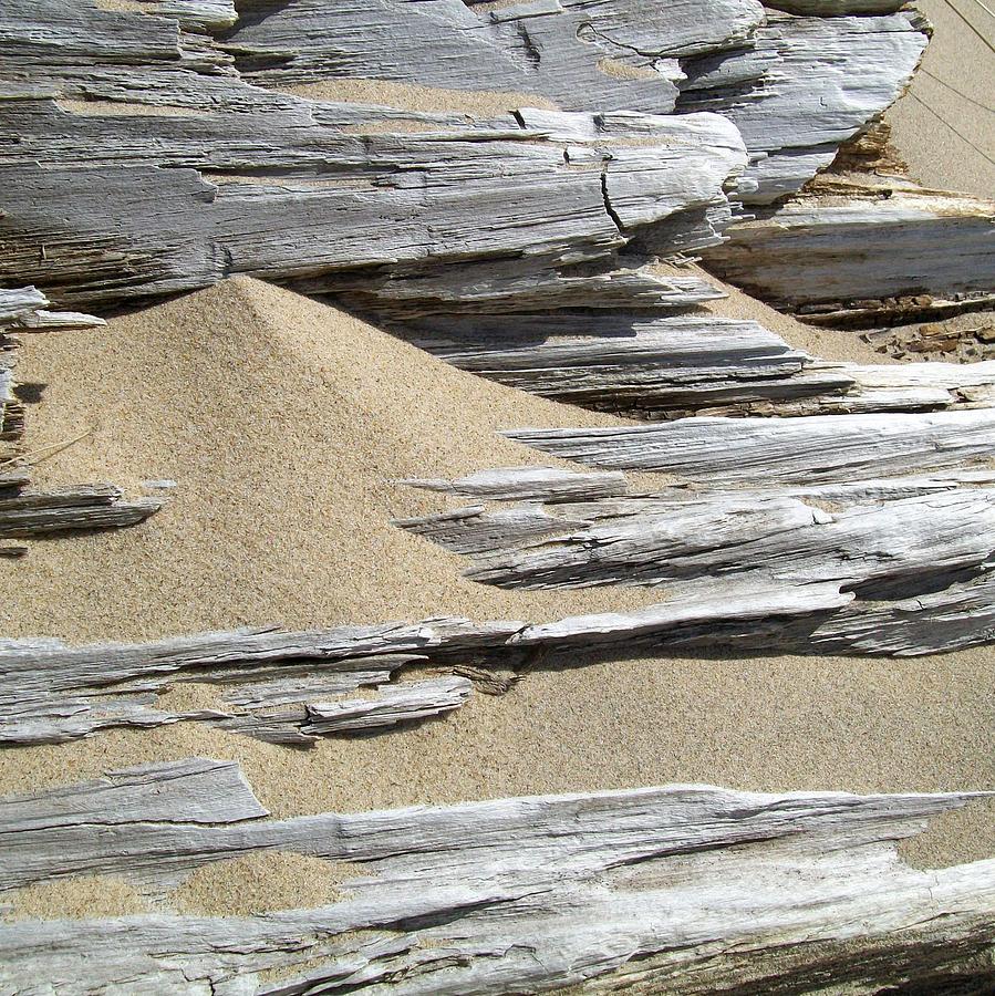 Driftwood Photograph by Michelle Calkins