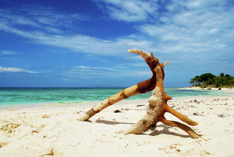 Beach Photograph - Driftwood by Monique Taree