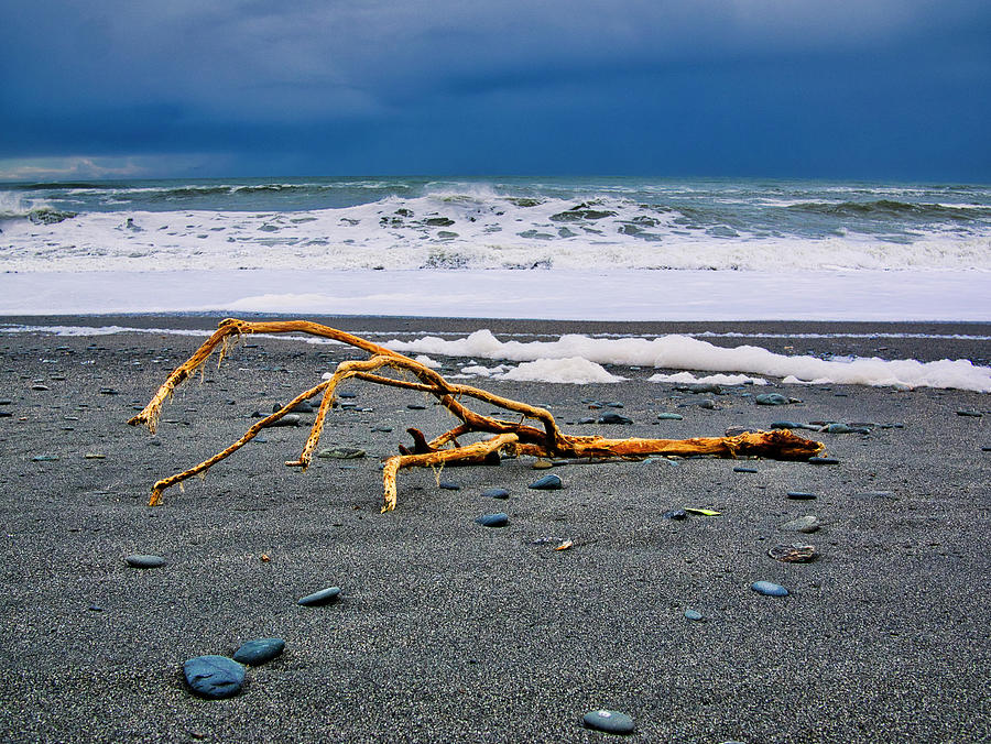 Driftwood - Okarita Beach - New Zealand Photograph by Steven Ralser