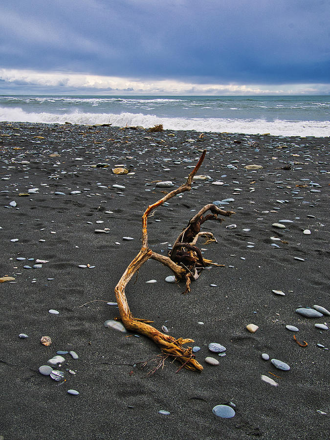 Driftwood - Okarito Beach - New Zealand Photograph by Steven Ralser