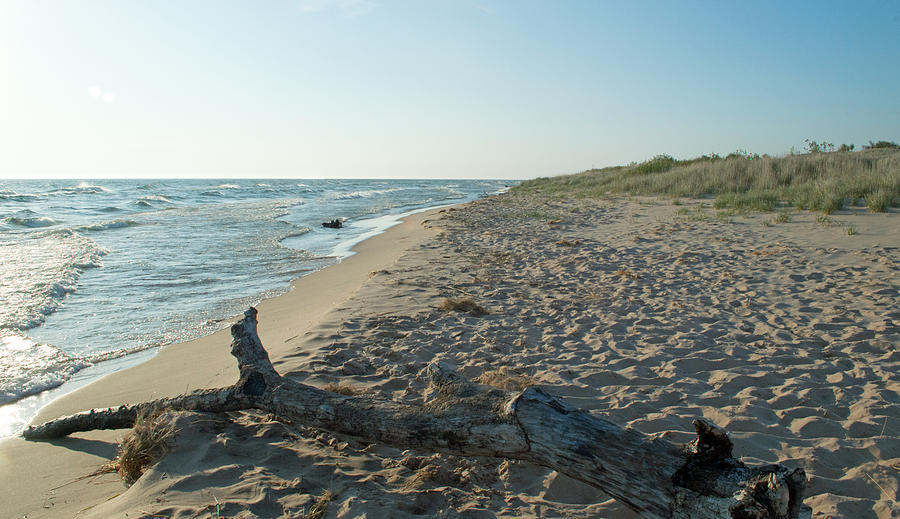 Lake Michigan Photograph - Driftwood on a Beach by Linda Kerkau