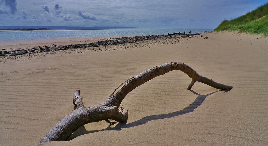 Landscape Photograph - Driftwood On Beach by Richard Brookes