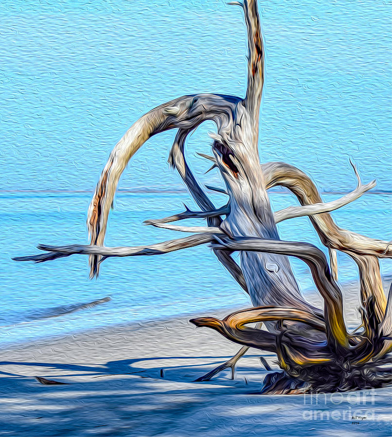 Driftwood on Jekyll Painting by DB Hayes