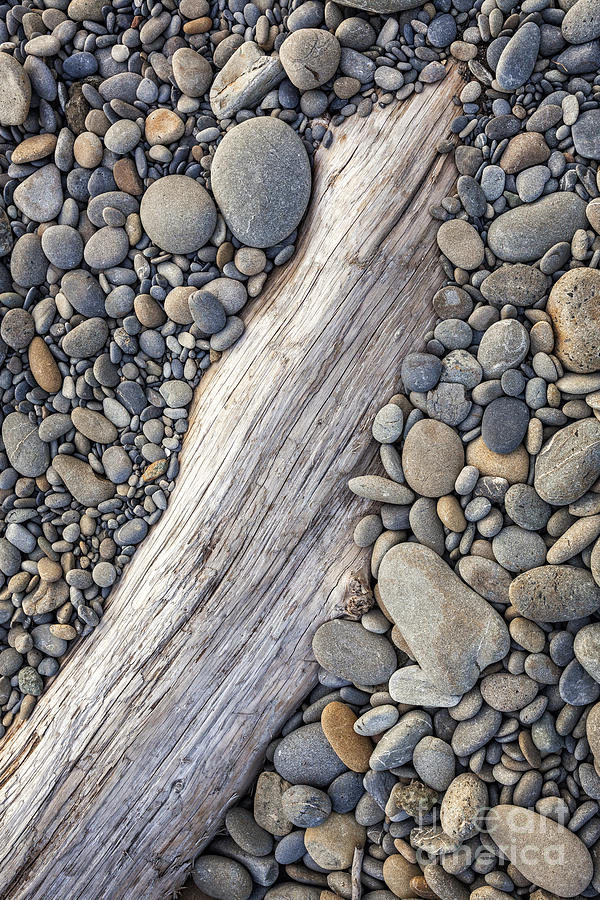 Driftwood on Rock Covered Beach Photograph by Bryan Mullennix