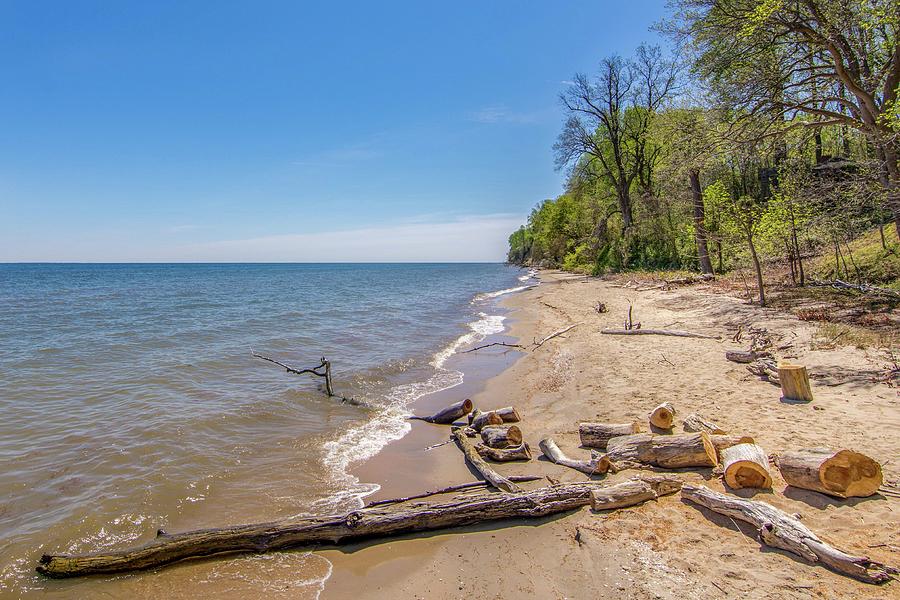 Driftwood on the Chesapeake  Photograph by Charles Kraus
