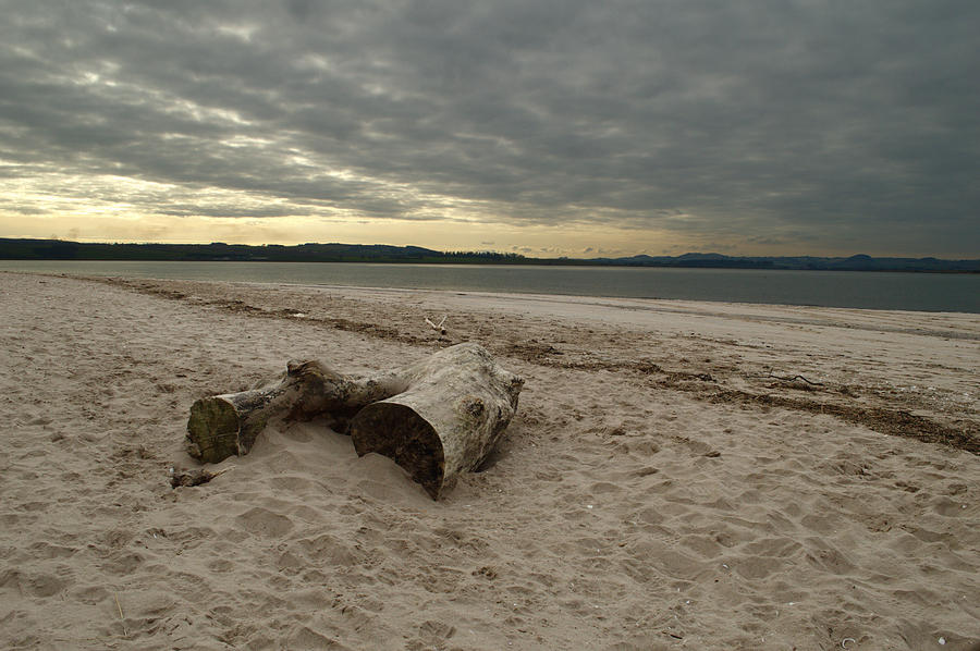 Sunset Photograph - Driftwood On West Sands by Adrian Wale