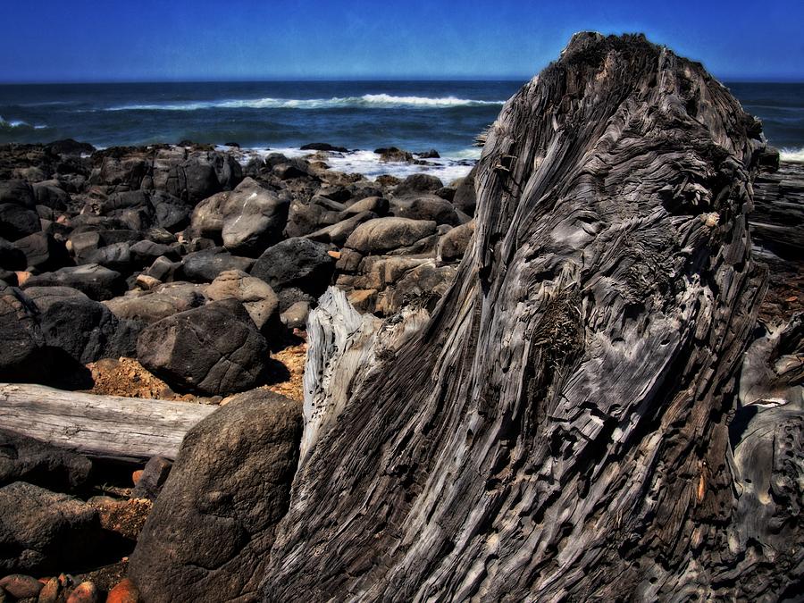 Nature Photograph - Driftwood Rocks Water by Thom Zehrfeld