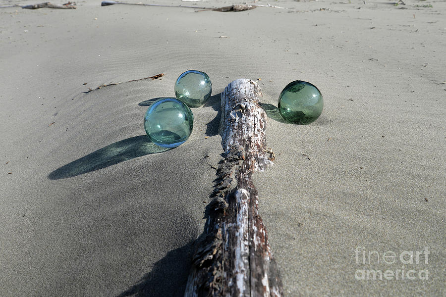 Driftwood, Sand, and Glass Photograph by Denise Bruchman