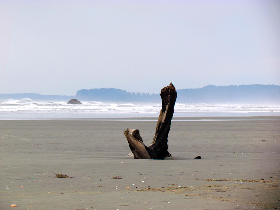 Driftwood Sculpture on Ruby Beach - Zen - Peace Photograph by Marie Jamieson
