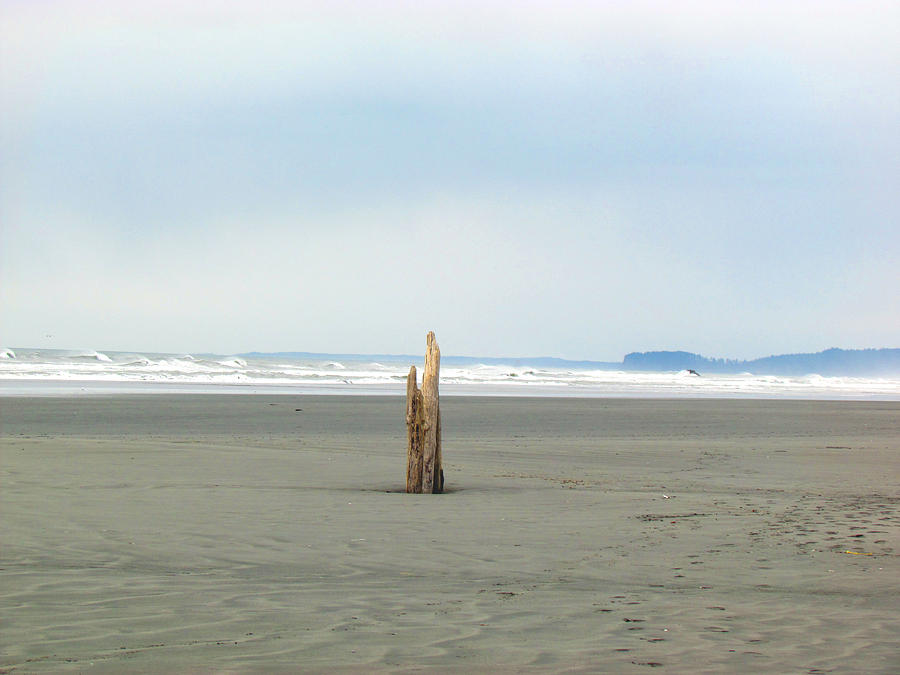 Driftwood Sculptures on Ruby Beach - Zen - Peace Photograph by Marie Jamieson