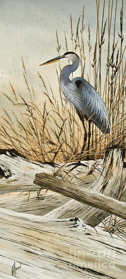 Heron Painting - Driftwood Splendor by James Williamson