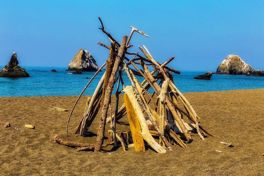 Driftwood Structure Photograph by Garry Gay