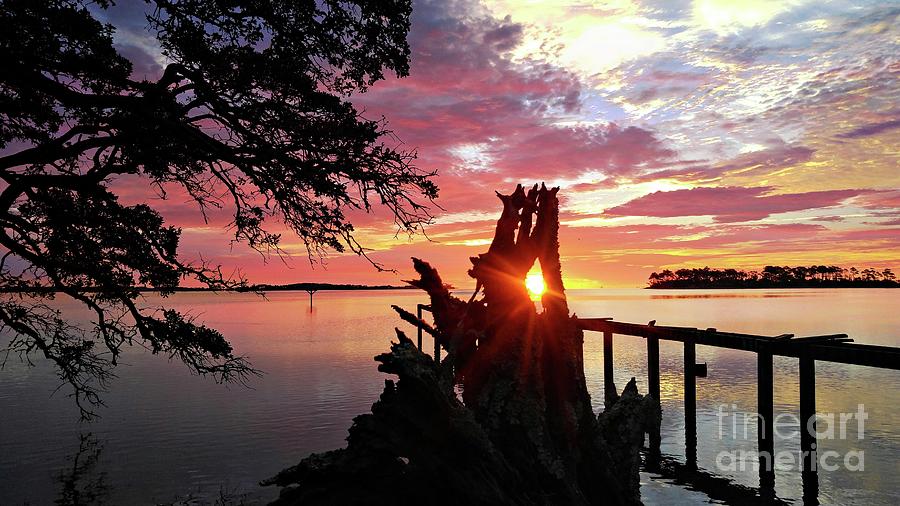Driftwood Sunrise Photograph by Benanne Stiens and Jerry Stiens