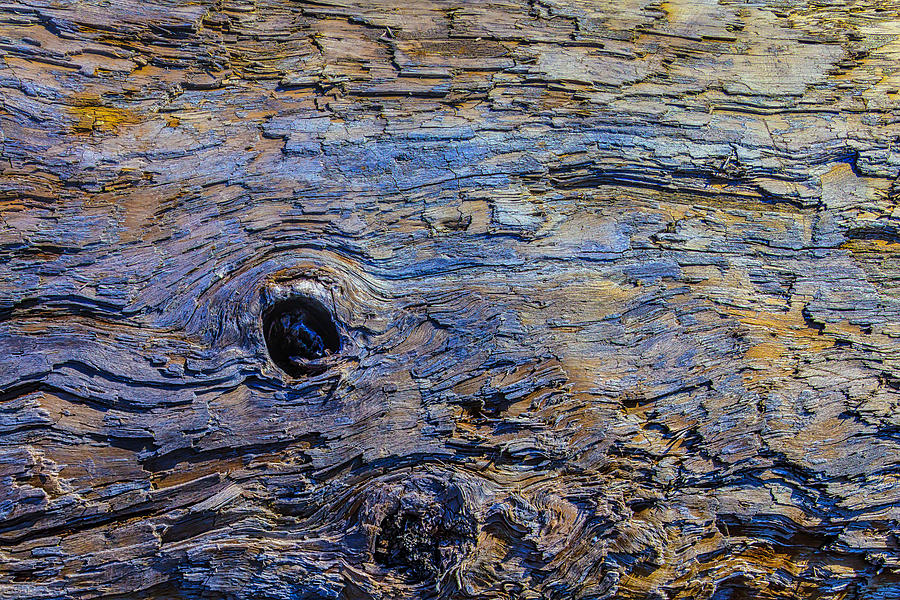 Driftwood Texture 2 Photograph by Garry Gay