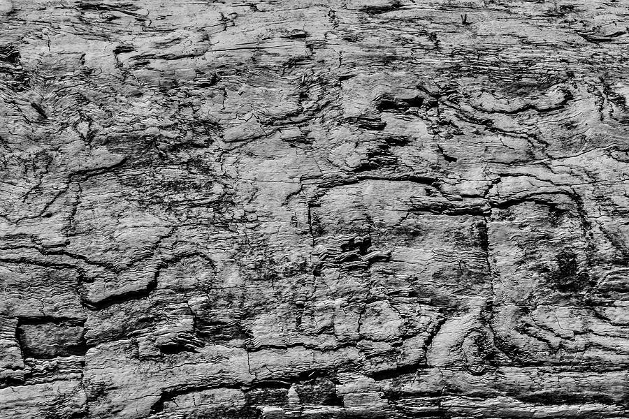 Driftwood Texture Photograph by Garry Gay