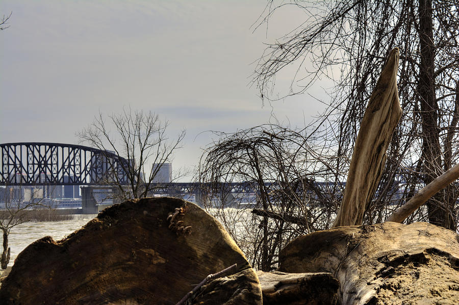 Driftwood view of Louisville Photograph by FineArtRoyal Joshua Mimbs