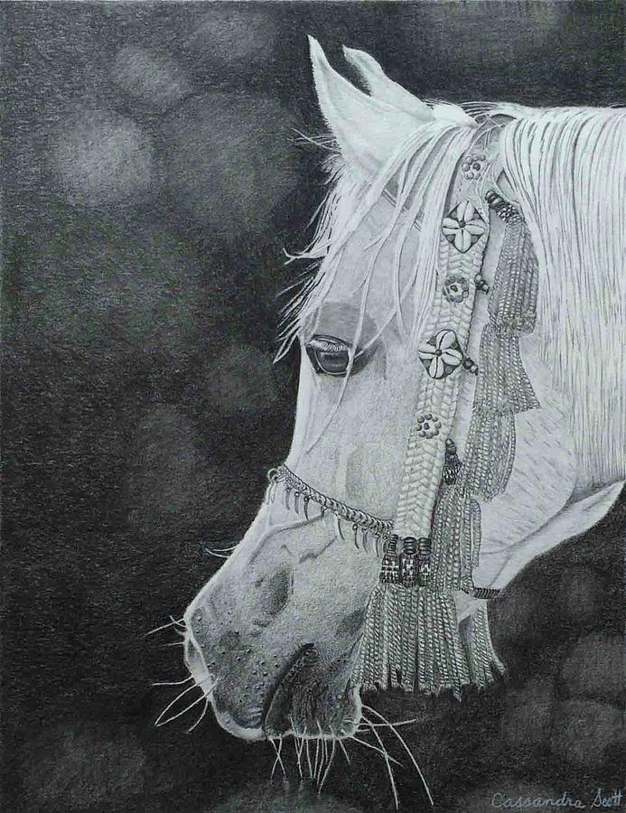 Black And White Drawing - Drinker of the Wind by Cassandra Scott