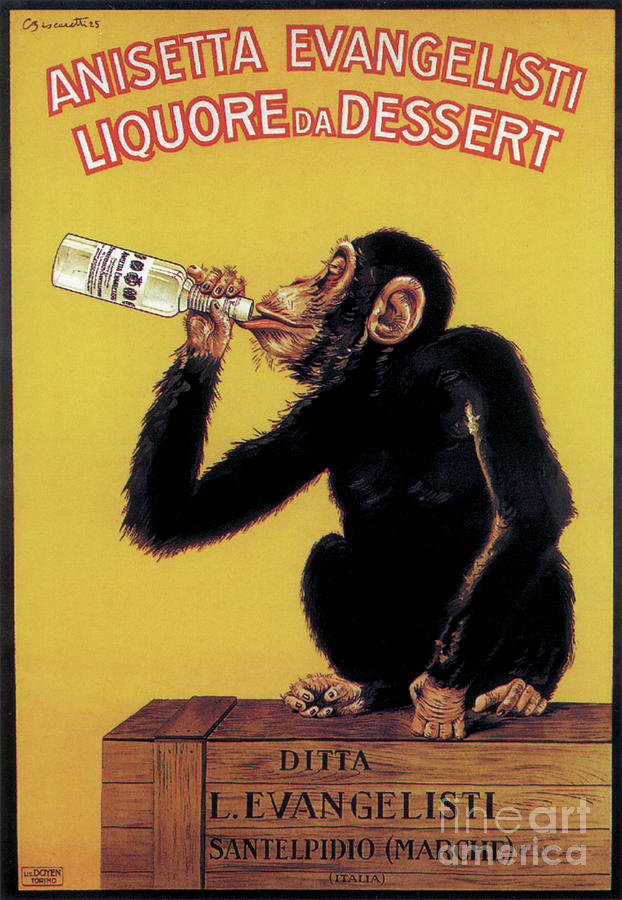 Drinking Monkey Poster Photograph by Garry McMichael