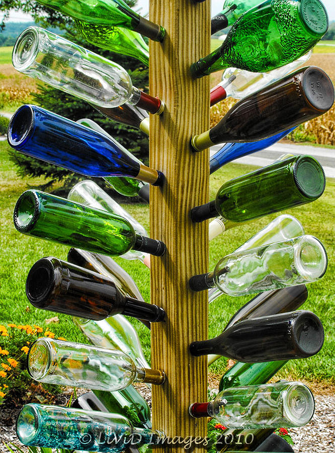 Bottle Photograph - Drinking Problem by Kristie  Bonnewell