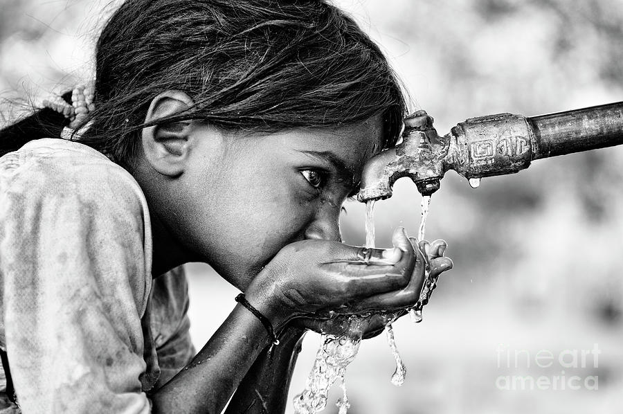 Black And White Photograph - Drinking Water by Tim Gainey