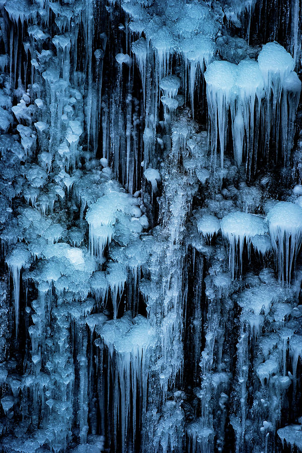 Winter Photograph - Dripping in Diamonds by Darren White
