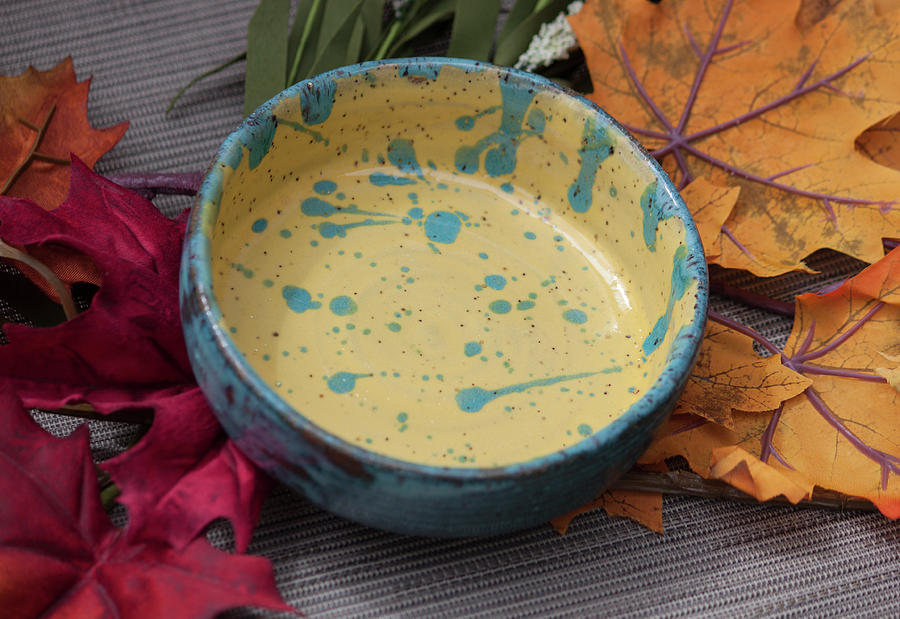 Drippy Cereal Bowl Ceramic Art by Suzanne Gaff