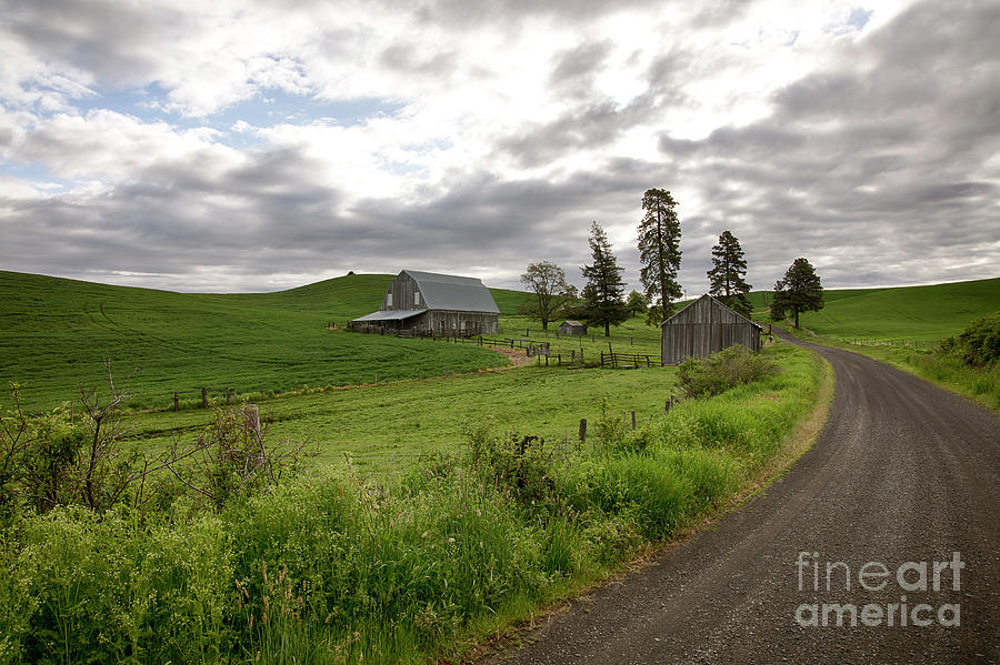 Drive through the Country Photograph by Idaho Scenic Images Linda Lantzy