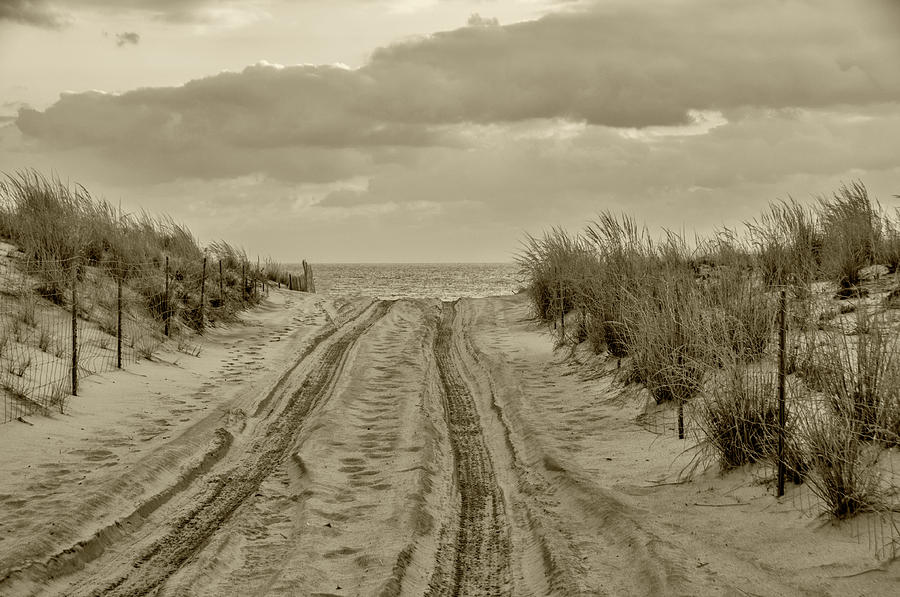 Drive To The Ocean Photograph by Cathy Kovarik
