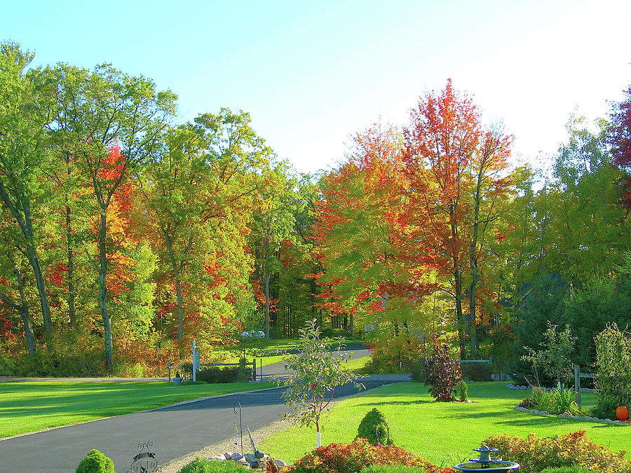 Driveway Amongst Fall Color Photograph by Randy Rosenberger