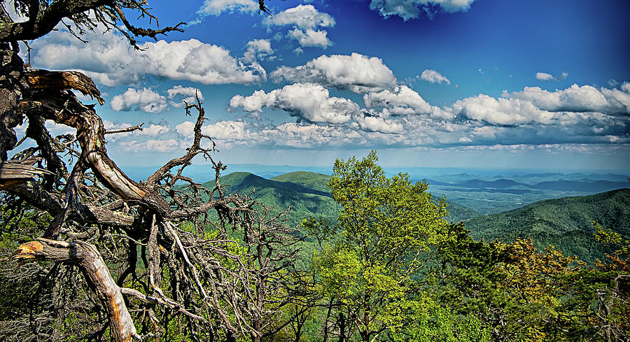 Driving By Overlooks Along Blue Ridge Parkway Photograph by Alex Grichenko