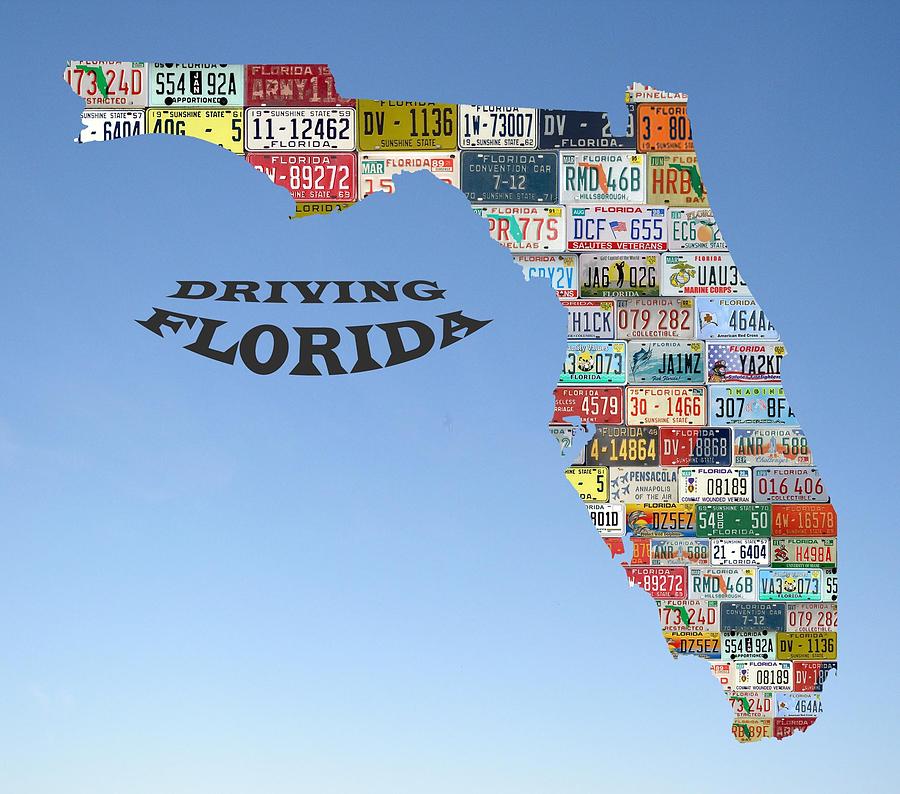 Driving Florida Photograph