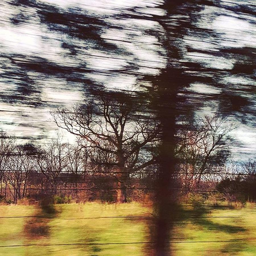 Driving Past A Farm With An Oak Tree Photograph by Thomas Zygmunt