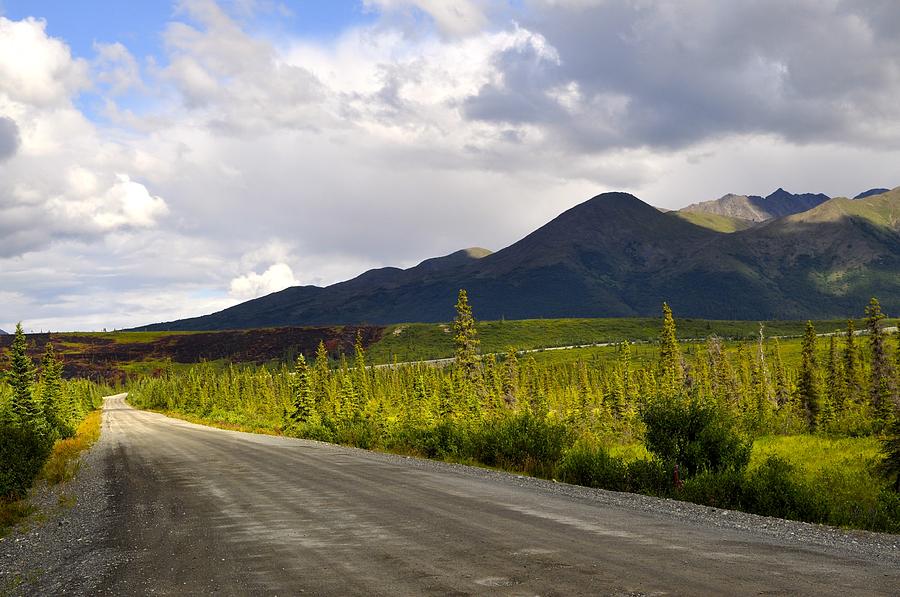 Driving the Denali Highway Photograph by Cathy Mahnke