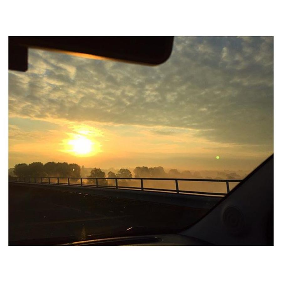 Cabbage Photograph - Driving To Work This Morning 🌇 by Nienke Van der Meij