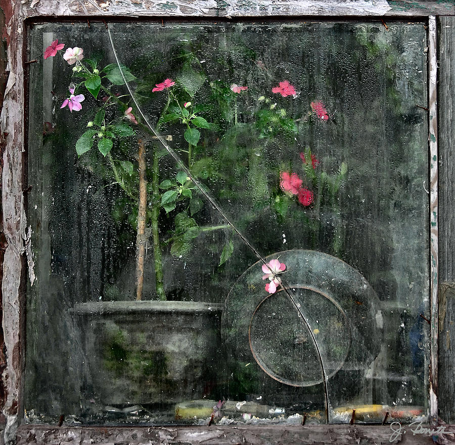 Drizzled Window Photograph by Joe Bonita
