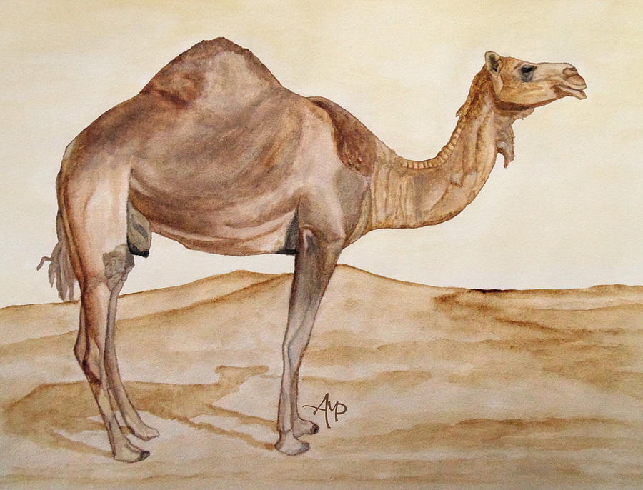 Dromedary Watercolor Painting by Angeles M Pomata