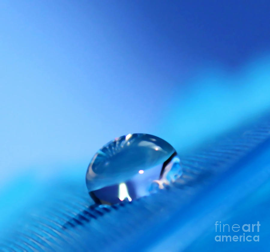 Nature Photograph - Drop Of Blue by Krissy Katsimbras
